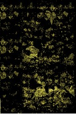 严歌苓作品集  天浴