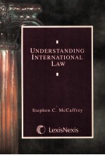<em>UNDERSTANDING</em> INTERNATIONAL LAW