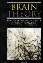 BRA<em>IN</em> THEORY SPATIO-TEMPORAL ASPECTS <em>OF</em> BRA<em>IN</em> <em>FUNCTION</em>