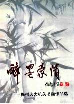 醉墨豪情  梅州人大机关书画作品选
