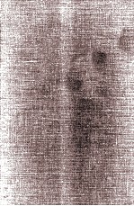 Linear Optimal <em>Control</em> <em>Systems</em>