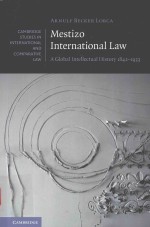 MESTIZO <em>IN</em>TERN<em>A</em>TION<em>A</em>I <em>L<em>A</em>W</em> <em>A</em> GIOB<em>A</em>I <em>IN</em>TEIIECTU<em>A</em>I HISTORY 1842-1933