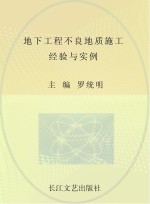 地下<em>工程</em>不良地质施工  经验与<em>实例</em>