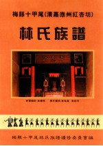 梅县十甲尾  清嘉应州红杏坊  林氏族谱
