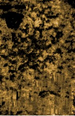 <em>加藤</em>周一著作集:13