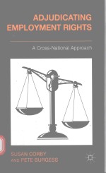 <em>A</em>DJUDIC<em>A</em>TING EMPLOYMENT RIGHTS
