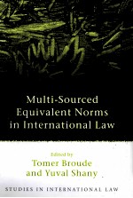 MULTI-SOURCED EQUIV<em>A</em>LENT NORMS <em>IN</em> <em>IN</em>TERN<em>A</em>TION<em>A</em>L <em>L<em>A</em>W</em>