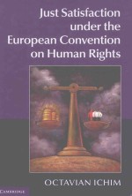 JUST SATISFA CTION UNDER <em>THE</em> EUROPEAN CONVENTION ON HUMAN RIGHTS