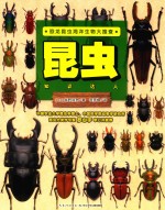 恐龙昆虫海洋生物大搜查  昆虫知识达人  7-12岁