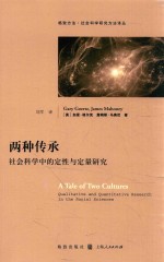 两种传承  社会科学中的定性与定量研究