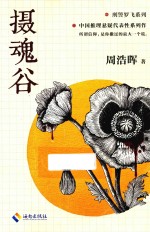 刑警罗飞系列  摄魂谷