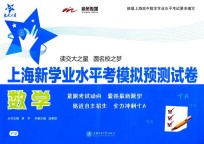 上海新学业水平考模拟预测试卷  数学