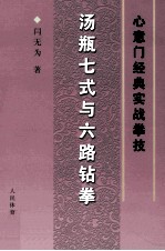汤瓶七式与六路钻拳  心意门经典实战拳技