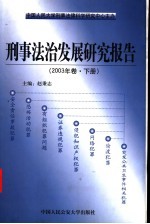刑事法治发展研究报告  2003年卷  下