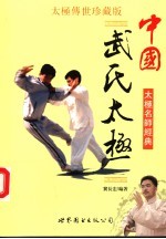 中国武氏太极  太极传世珍藏版