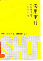 实用<em>审计</em>