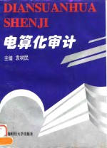 电算化审计