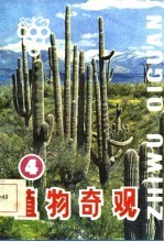 植物奇观  4