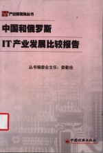 中国和俄罗斯<em>IT</em>产业发展比较报告