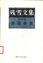 残雪<em>文集</em>  <em>第</em><em>4</em><em>卷</em>  突围表演