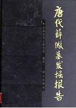 <em>唐代</em>薛儆墓发掘报告