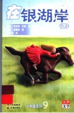 在银湖岸  下