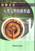 信息文化  人类文明的新形态