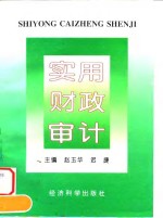 实用财政审计