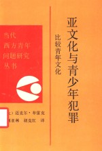 亚文化与青少年犯罪