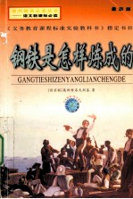 钢铁是怎样炼成的  最新版