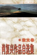 肖复兴<em>作品</em>自<em>选集</em>  散文<em>卷</em>
