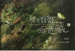 与大自然捉迷藏  6