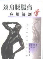 颈肩腰腿痛应用解剖学