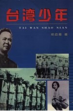 台湾少年  长篇小说