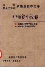 中国现当代文学茅盾眉批本文库  中短篇小说<em>卷</em>  3