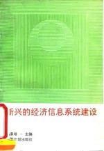 新兴的经济信息系统建设