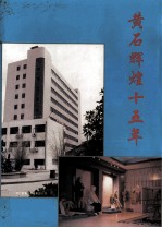 <em>黄石</em>辉煌五十年  1978-1993