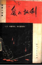 爱的权利  短篇小说集