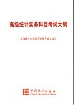 高级统计实务科目<em>考试</em>大纲
