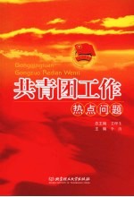 共青团工作热点问题
