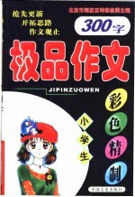 小学生极品作文  300字
