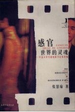 感官世界的灵魂  一个北大学生的电影手记及其他