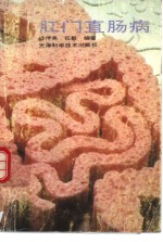 肛门直肠病