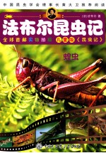 法布尔昆虫记  蝗虫  儿童版