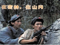 电视连环画册  在密林，在山岗