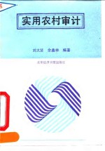 实用农村审计