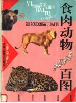 食肉动物百图