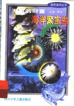 无穷的财富  海洋聚宝盆