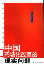 中国市场化改革的现实问题
