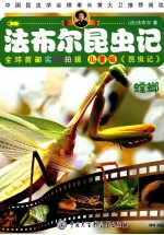 <em>法</em><em>布尔</em>昆虫记  螳螂  儿童版